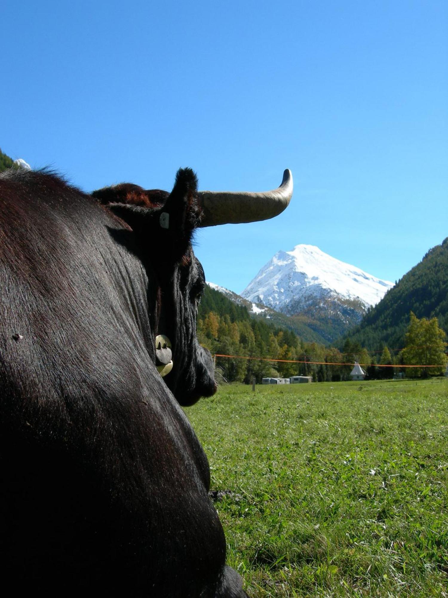 Hotel Adler Saas-Grund Exteriér fotografie