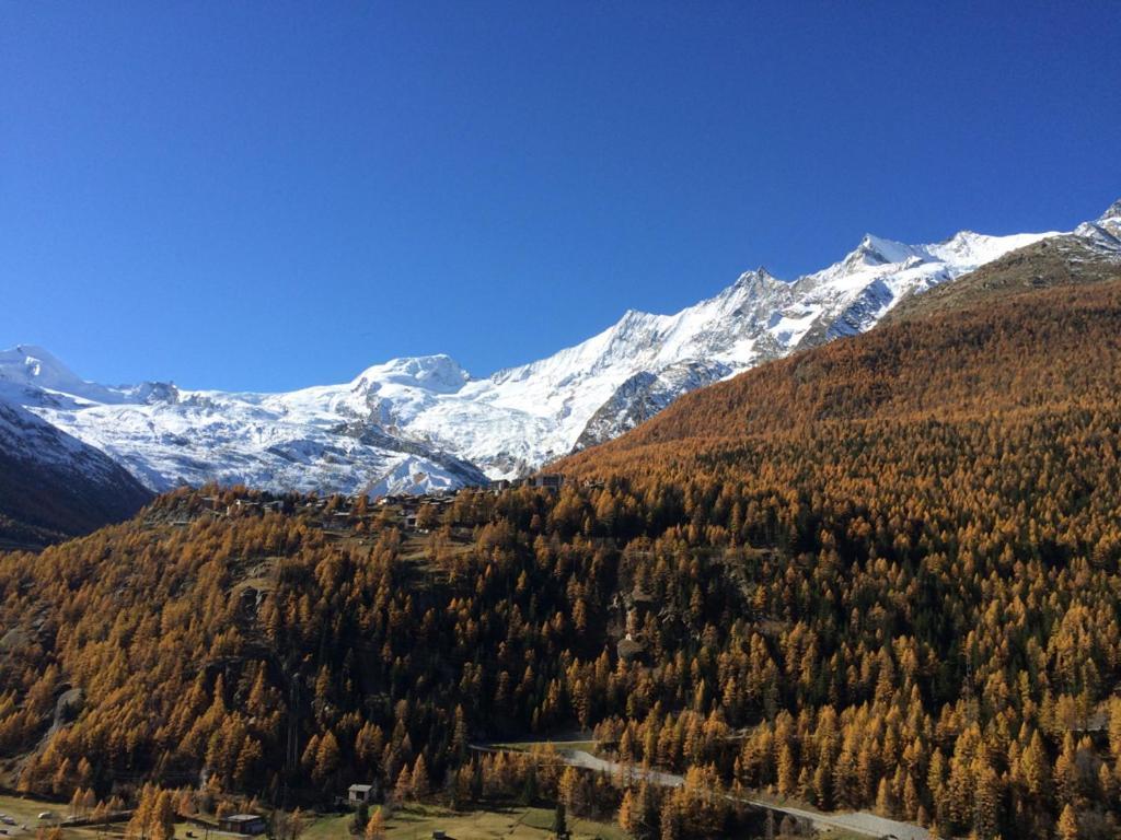 Hotel Adler Saas-Grund Exteriér fotografie
